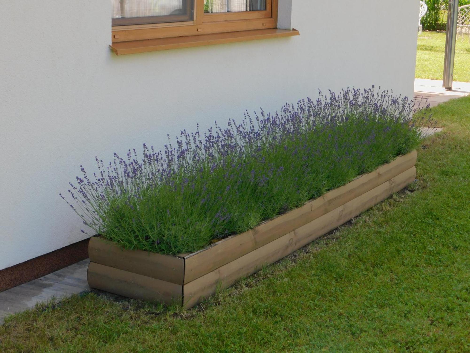 Forest House Sasino-Spa Sauna Balia Luaran gambar